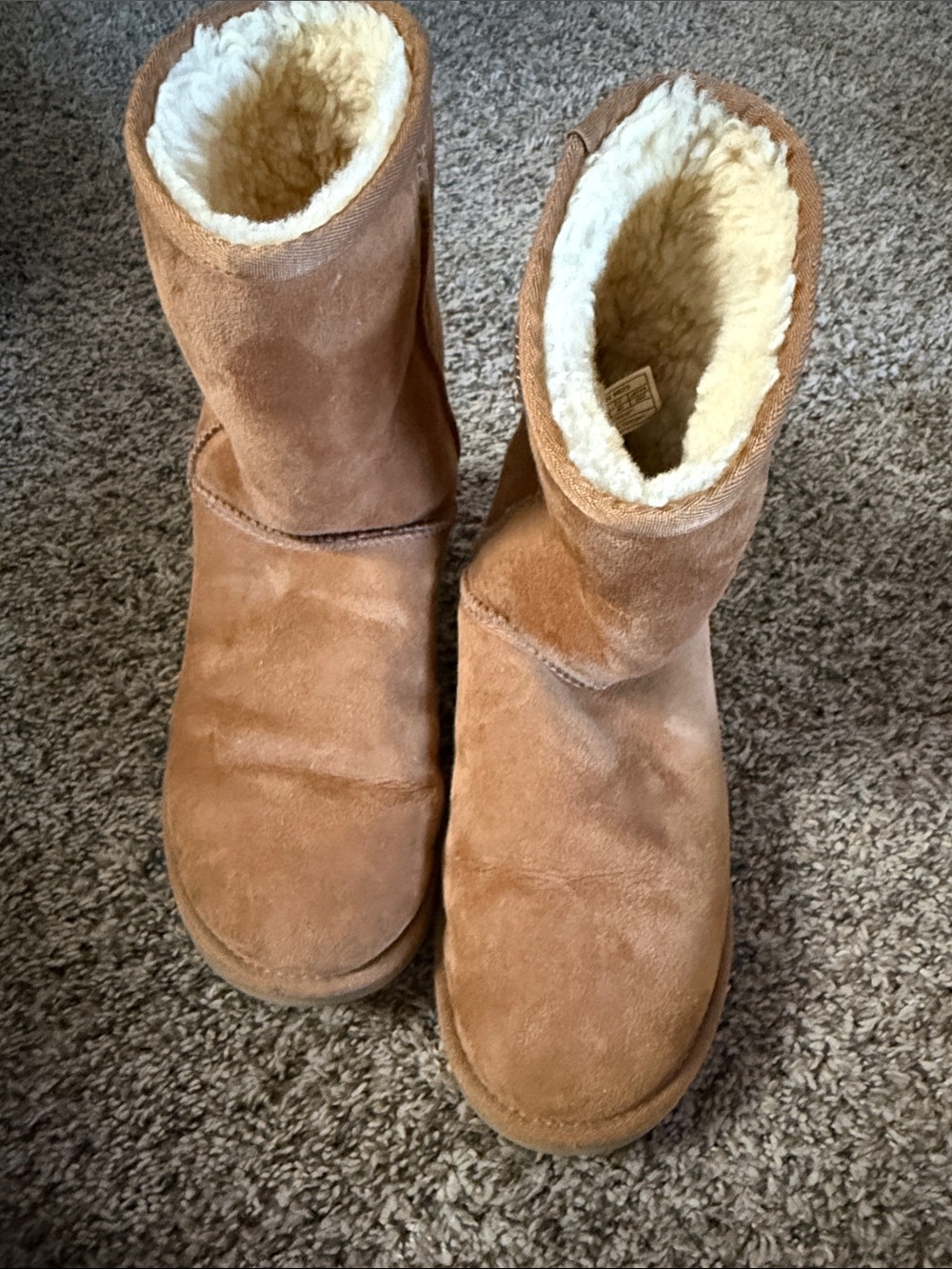 UGG Chestnut Suede Classic Short Boots